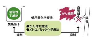 図:低用量化学療法の効果