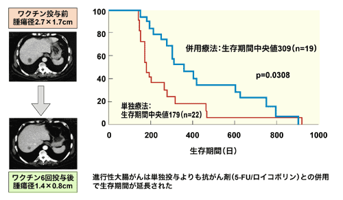 図:進行性大腸がんへの臨床効果(北大・久留米大)