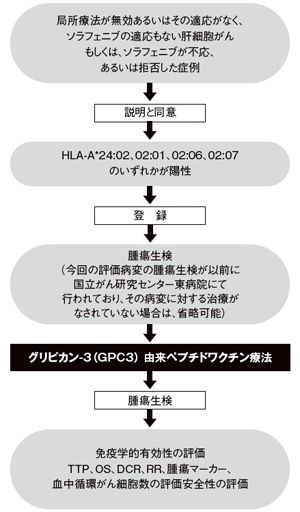 進行肝細胞がんのGPC3由来ペプチドワクチン療法の適応