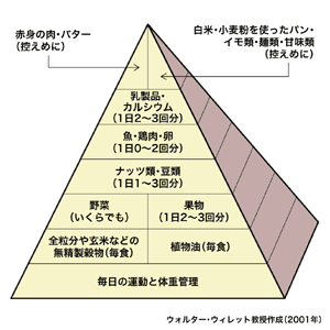 図1　ハーバード大学健康食事ピラミッド