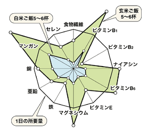 図2　玄米食と栄養所要量充足率