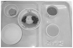 写真：「マドンナ食」