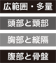 広範囲・多量／頭部と頸部／胸部と縦隔／腹部と骨盤