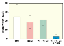 図：塞栓剤（DSM）と抗がん剤（マイトマイシン）の併用による腫瘍縮小効果