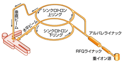 重粒子線治療の簡略図