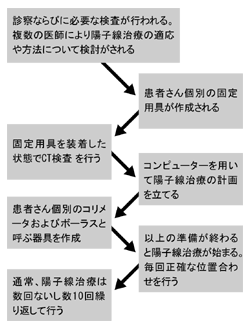 陽子線照射の実施の���れ