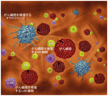 img/k01_P4.gif