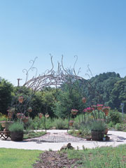 img/01_p4.jpg