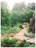 岩次郎小屋の庭