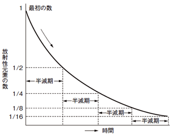 図7 放射性元素数の推移と半減期の関係性