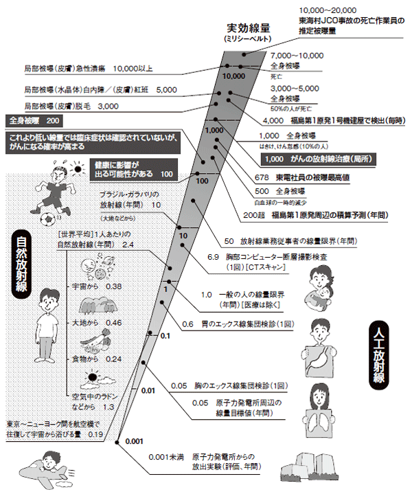 図8 放射線の量と人体への影響