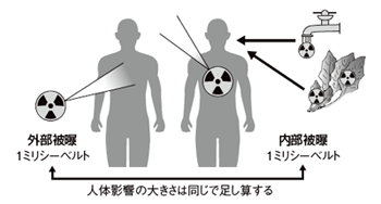 人体が受ける放射線量