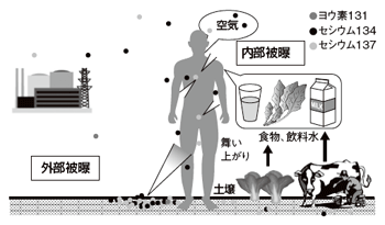 放射線を受ける経路：現状