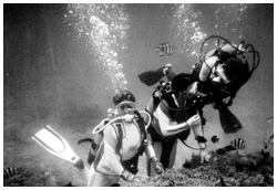 写真:家族と一緒に、大好きな海でダイビング