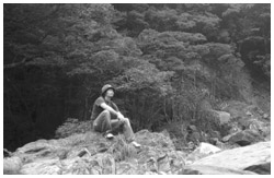 写真:屋久島にて