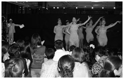 写真：サルホナイト
