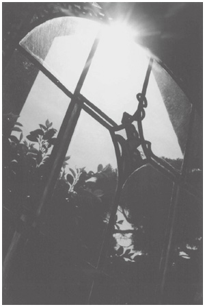 写真：作品「瞬光」
