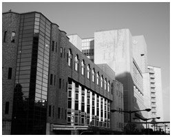 写真:T大学付属病院