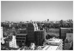 写真:病院の最上階より上野不忍池方面を望む