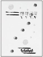 98年に二科展で入選した「循環」