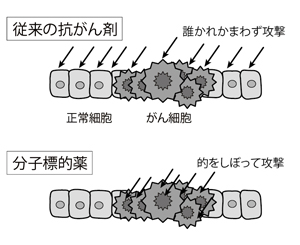 ç¹éEE¿å³11