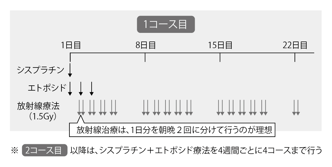 図5 化学放射線療法のスケジュール