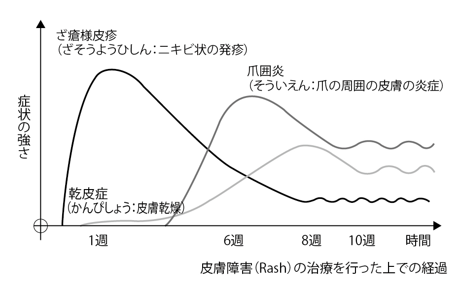 ■図5 EGFR阻害薬による皮膚障害の典型的な時間経過 ■図5 EGFR阻害薬による皮膚障害の典型的な時間経過