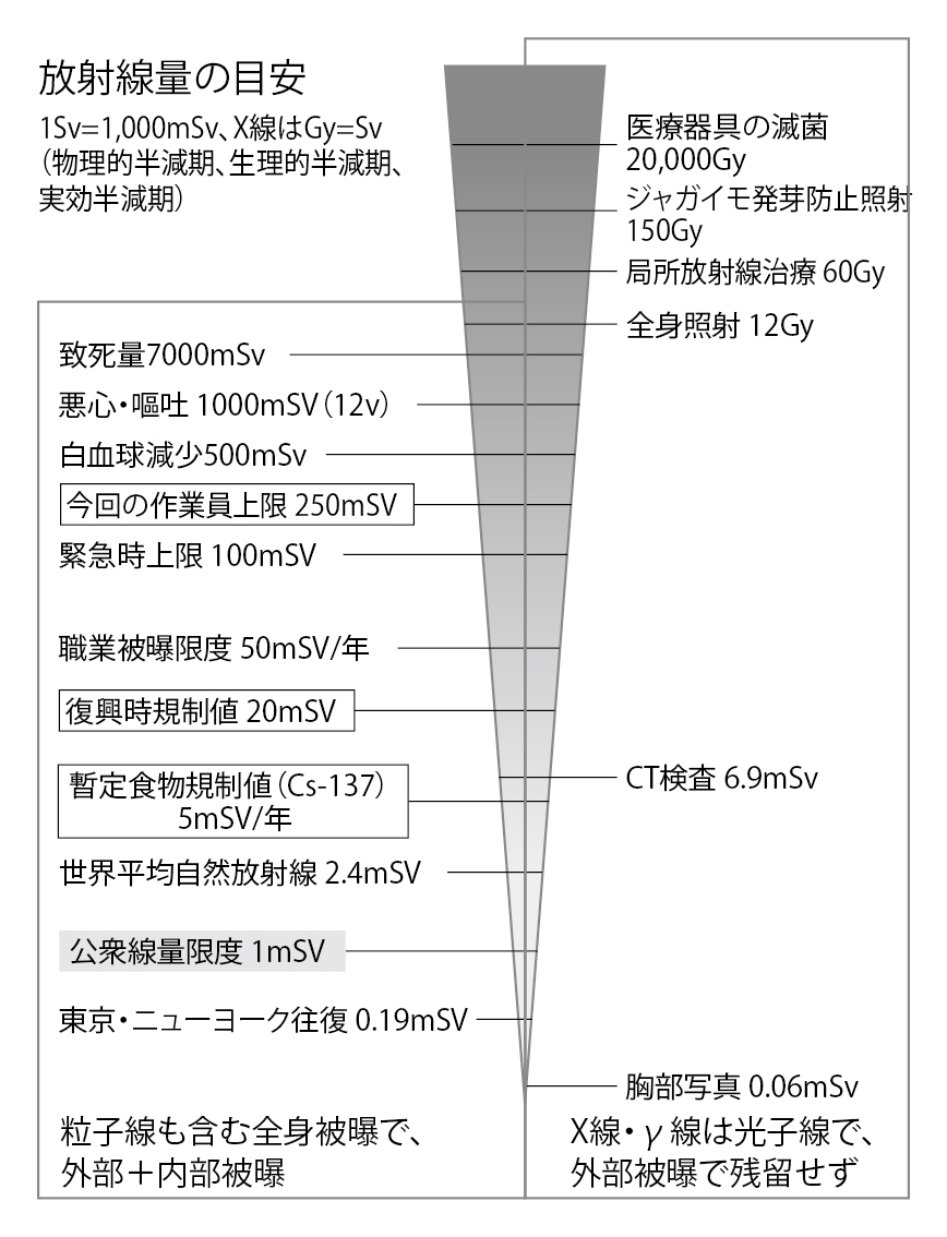 ■図4 放射線の線量限度と各種の線量比較