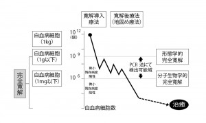 ■図6-1 血液がんの治療法 ■図6-1 血液がんの治療法