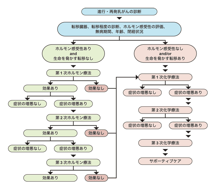 図7 進行再発乳がんに対するホルトバギーの治療方針