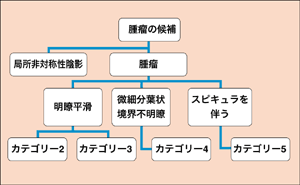 図1　石灰化のカテゴリー��類