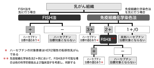 図：ハーセプチン治療対象症例選択のためのHER2検査フローチャート