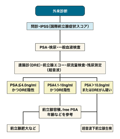 図：前立腺がんの診察手順