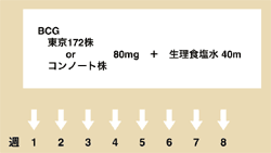 図：BCG膀胱内注入療法の投与法