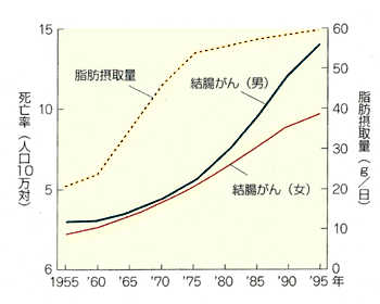 結腸がんと脂肪摂取量の関係 グラフ