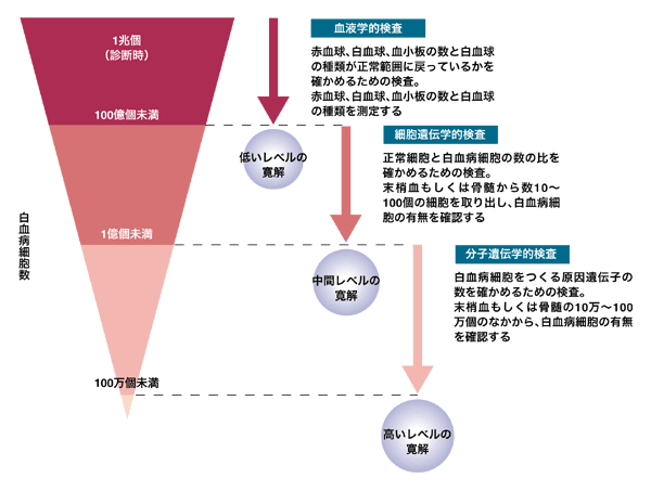 図：慢性骨髄性白血病の寛解のレベルみ