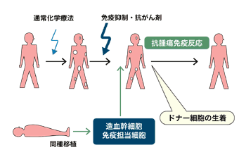 図：ミニ（minimized）移植とは