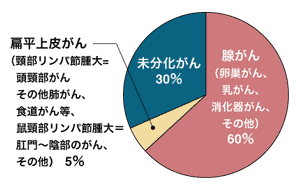 図：病理検査で診断された原発不明がんの種類