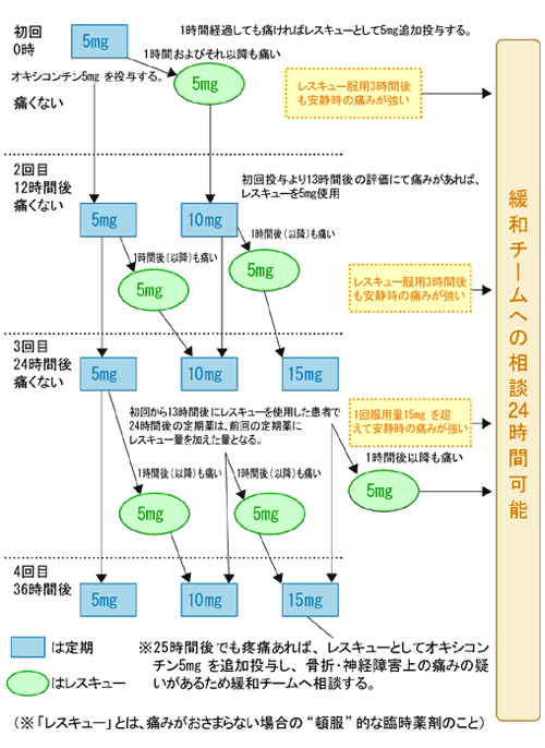具体的な服用方法