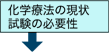 化学療法の現状・試験の必要性