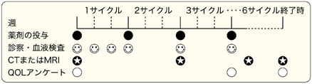 図：3週投与法