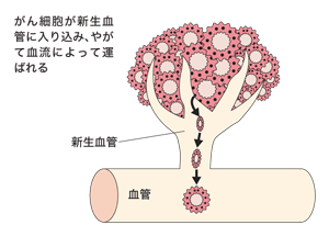 図：がんの血行性転移