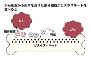 図　ビスホスホネートの効果