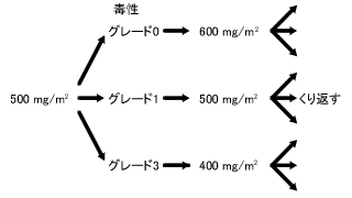 図：テーラード・ドーズ化学療法での投与量の求め方