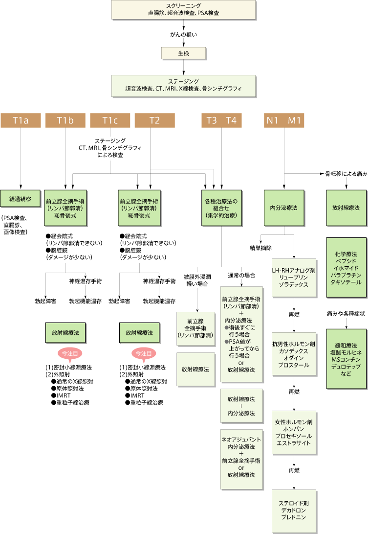 前立腺がんの治療ガイドライン