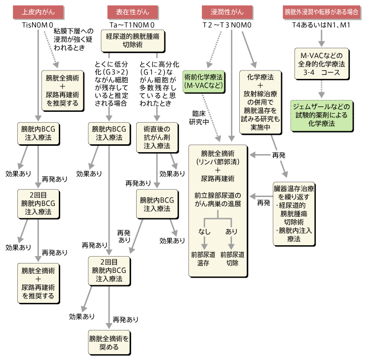 膀胱がんの治療ガイドライン