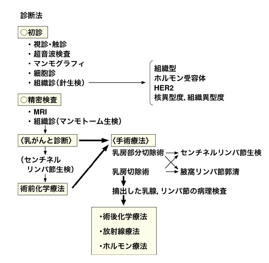 図：診断と治療の流れ（虎の門病院の場合）