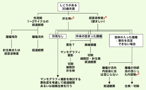 30歳未満でしこりがある人に対する診療の流れ