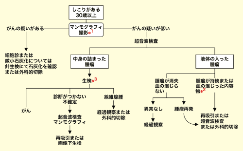 30歳以上でしこりがある人に対する診療の流れ