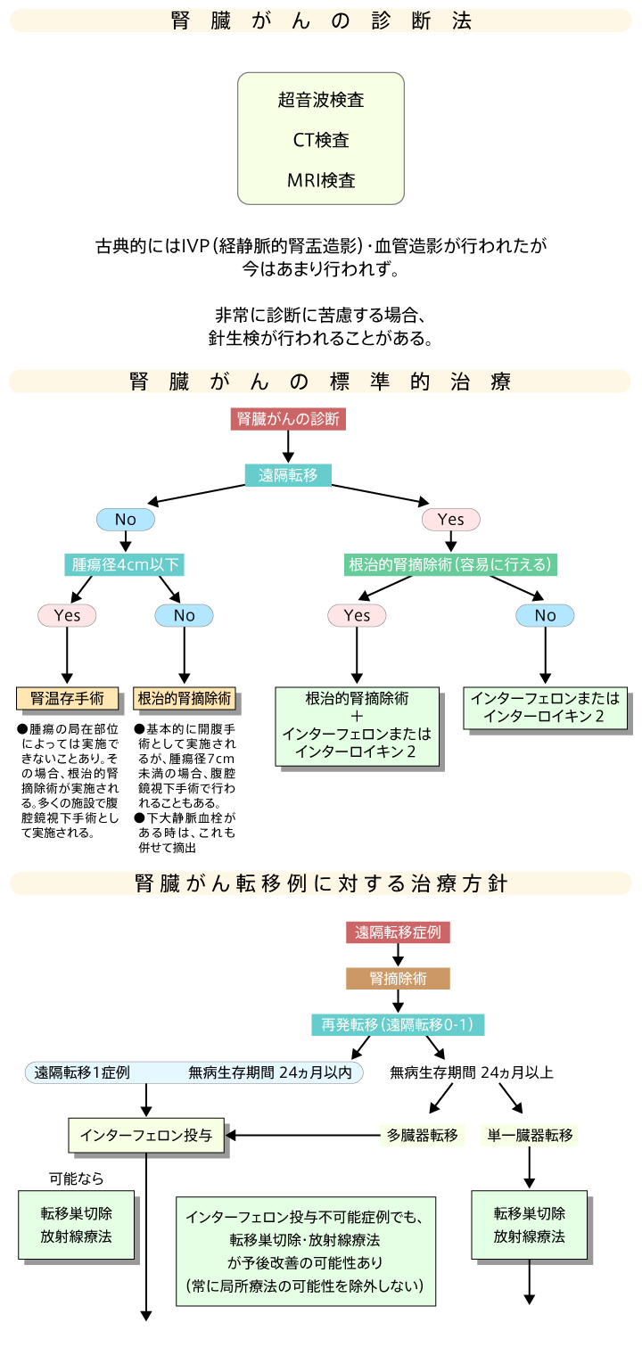 腎臓がんの診断～標準治療